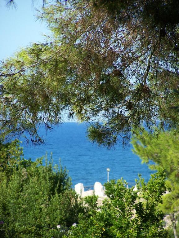 רודי גרגניקו Tenuta Molino Di Mare- Ecoresort Con Villini מראה חיצוני תמונה